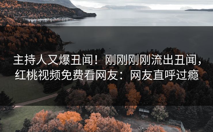 主持人又爆丑闻！刚刚刚刚流出丑闻，红桃视频免费看网友：网友直呼过瘾