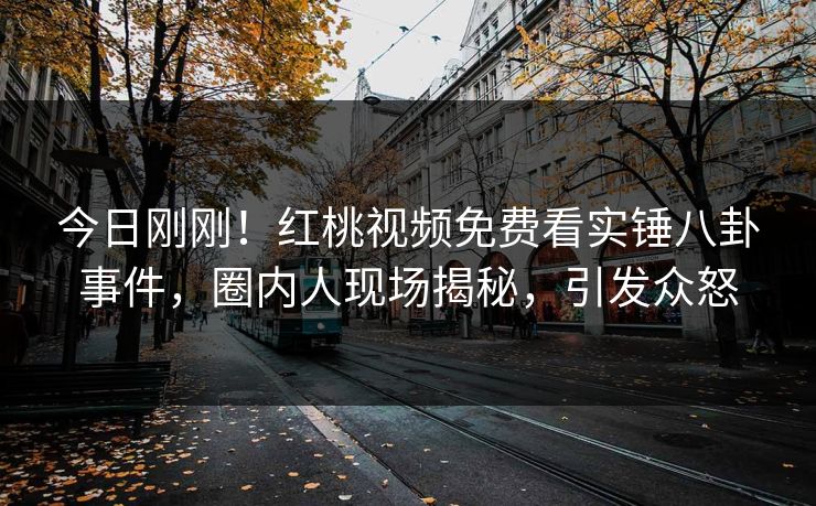 今日刚刚！红桃视频免费看实锤八卦事件，圈内人现场揭秘，引发众怒