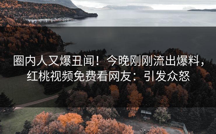圈内人又爆丑闻！今晚刚刚流出爆料，红桃视频免费看网友：引发众怒
