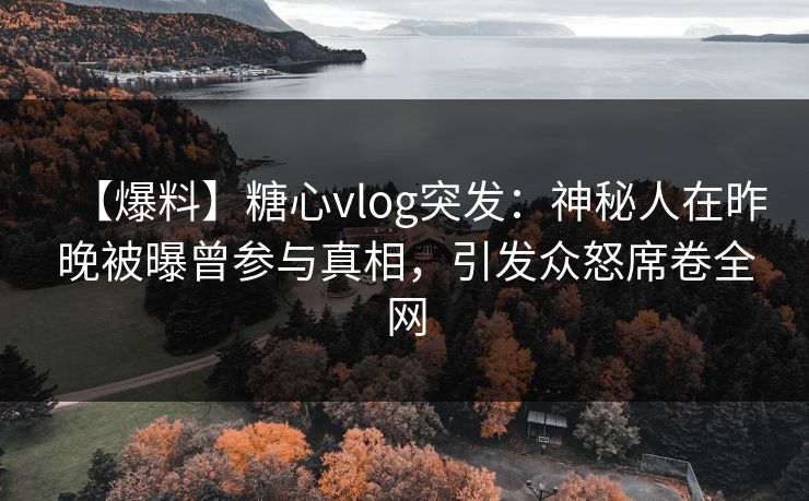 【爆料】糖心vlog突发：神秘人在昨晚被曝曾参与真相，引发众怒席卷全网