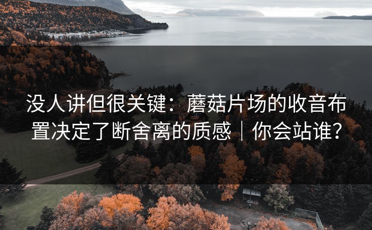 没人讲但很关键：蘑菇片场的收音布置决定了断舍离的质感｜你会站谁？